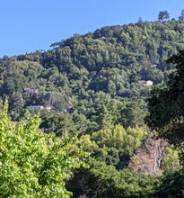Load image into Gallery viewer, Saratoga Hills in Fall