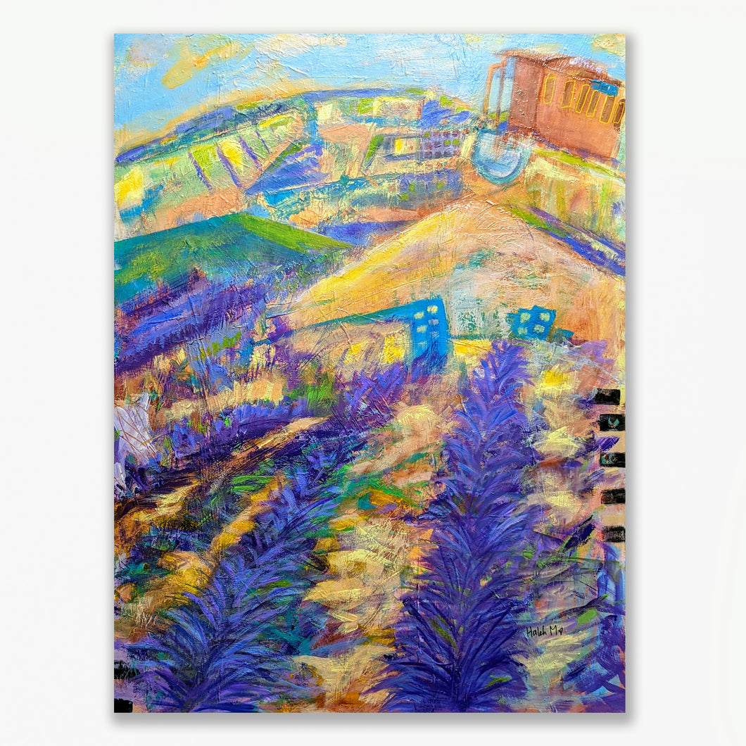 Lavender Fields