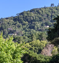 Load image into Gallery viewer, Saratoga Hills
